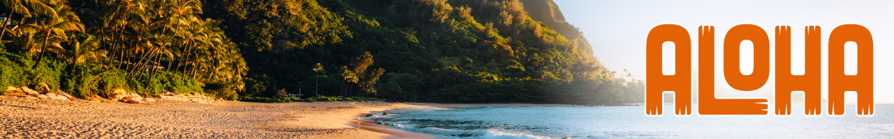 SHC Aloha Primary Care Conference 2026 Banner
