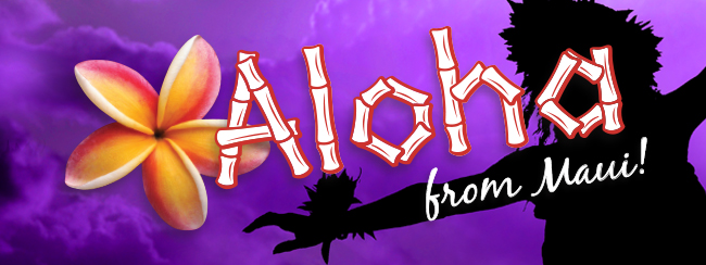 SHC Aloha Primary Care Conference 2021 Banner